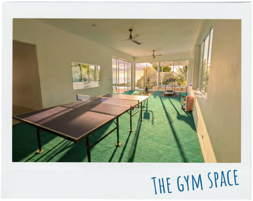 Room with green carpet featuring a ping pong table and exercise machines near large glass windows.