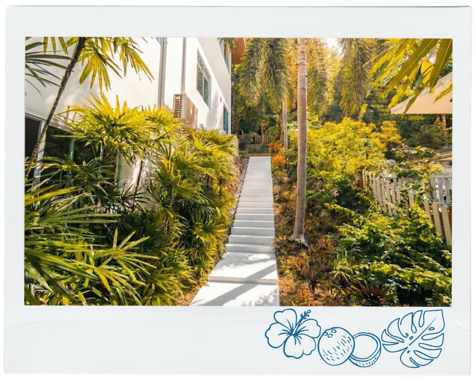 Concrete stairs flanked by lush tropical plants leading up beside a white building under sunlight.